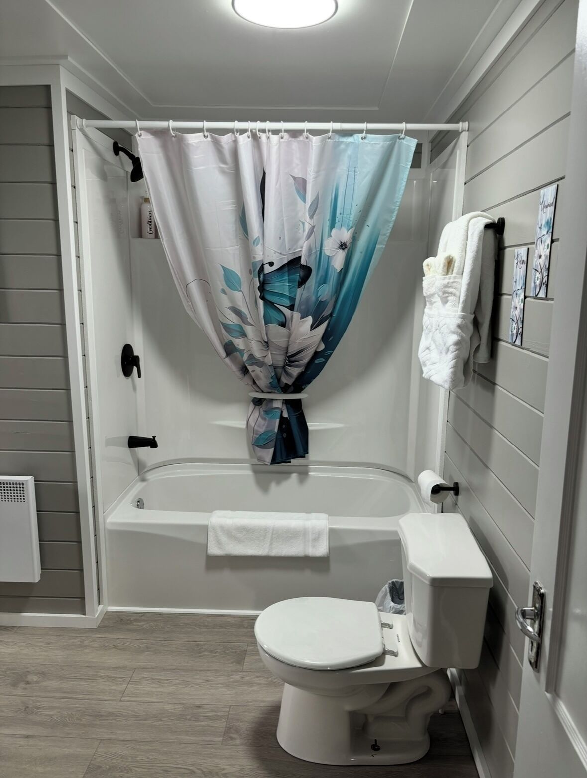 Secadora de cabello, toallas, jabón, papel de baño 