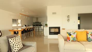 TV, fireplace