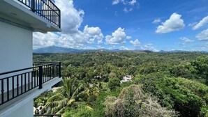 A balcony with a black railing overlooking a lush green landscape with mountains in the distance. - Loft 123 - Kandy (Kandy)