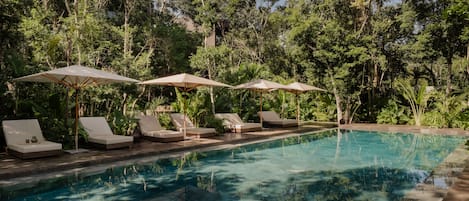 A pool with lounge chairs and umbrellas, surrounded by dense greenery.