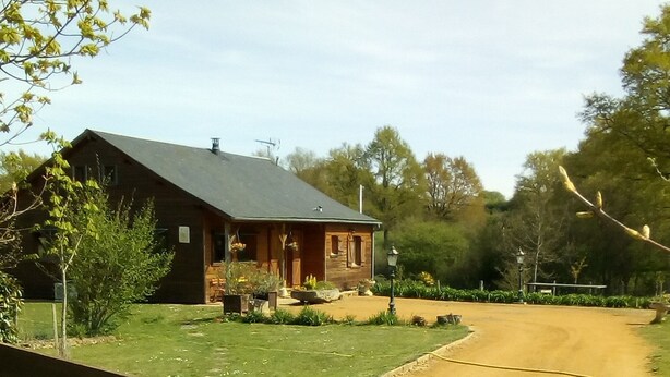 A wooden fence, a house with a sloped roof, and a grassy area.