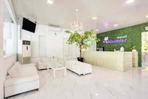 Zona de recepción de hotel con mostrador, una planta en maceta grande, candelabro y un sofá blanco.