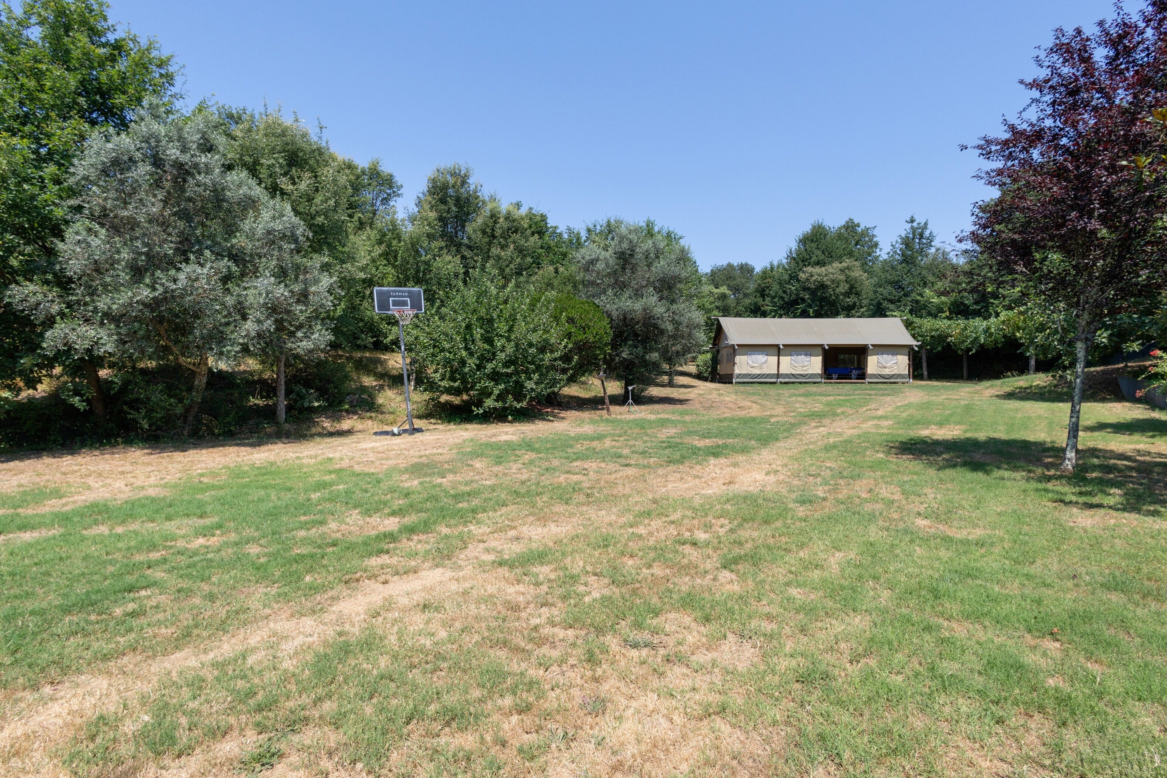 A grassy area with a basketball hoop, a shed, and trees.