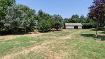 A grassy area with a basketball hoop, a shed, and trees.
