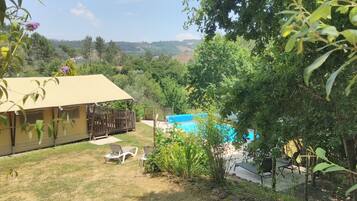 Terras