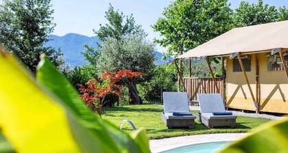 Tente " Oliveira Glamping " avec vue montagne, piscine privée et Wi-Fi