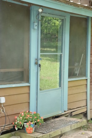 A blue door with a screen, a potted plant, and a step leading to a house with a window.