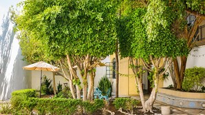 A courtyard with trees, a seating area, and a building with a balcony. - HOTEL SAN JOSE CENTRO HISTORICO (San Luis Potosí)