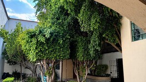 A courtyard with trees, a tiled pathway, and a building with a curved facade. - HOTEL SAN JOSE CENTRO HISTORICO (San Luis Potosí)