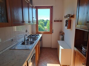 A kitchen with a window, a stove, and a sink. - Appartamento vista parco (Borgo San Lorenzo)