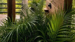 A wooden pergola with a view of mountains, potted plants, and a hanging planter. - The Naked Jungle Luxury A-Frame w/ Mountain View (La Pinuela)