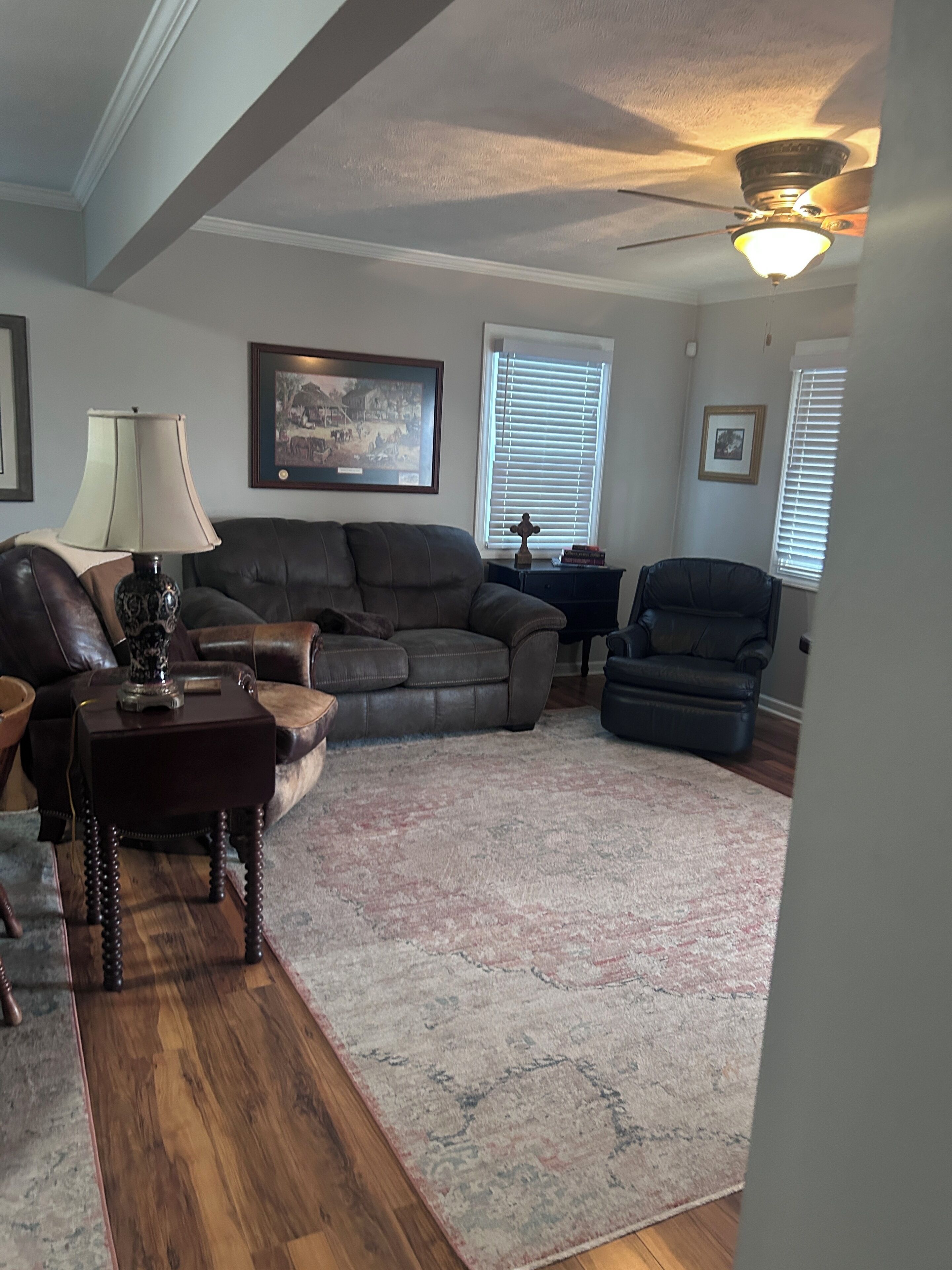 A living room with a sofa, armchair, rug, lamp, and ceiling fan.