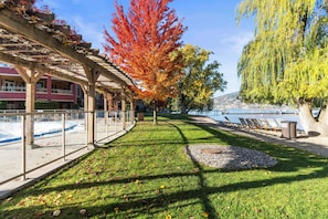 A covered outdoor area with a pergola, a grassy path, and a row of chairs by a body of water.