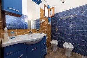 Een douche, een haardroger, een bidet, handdoeken