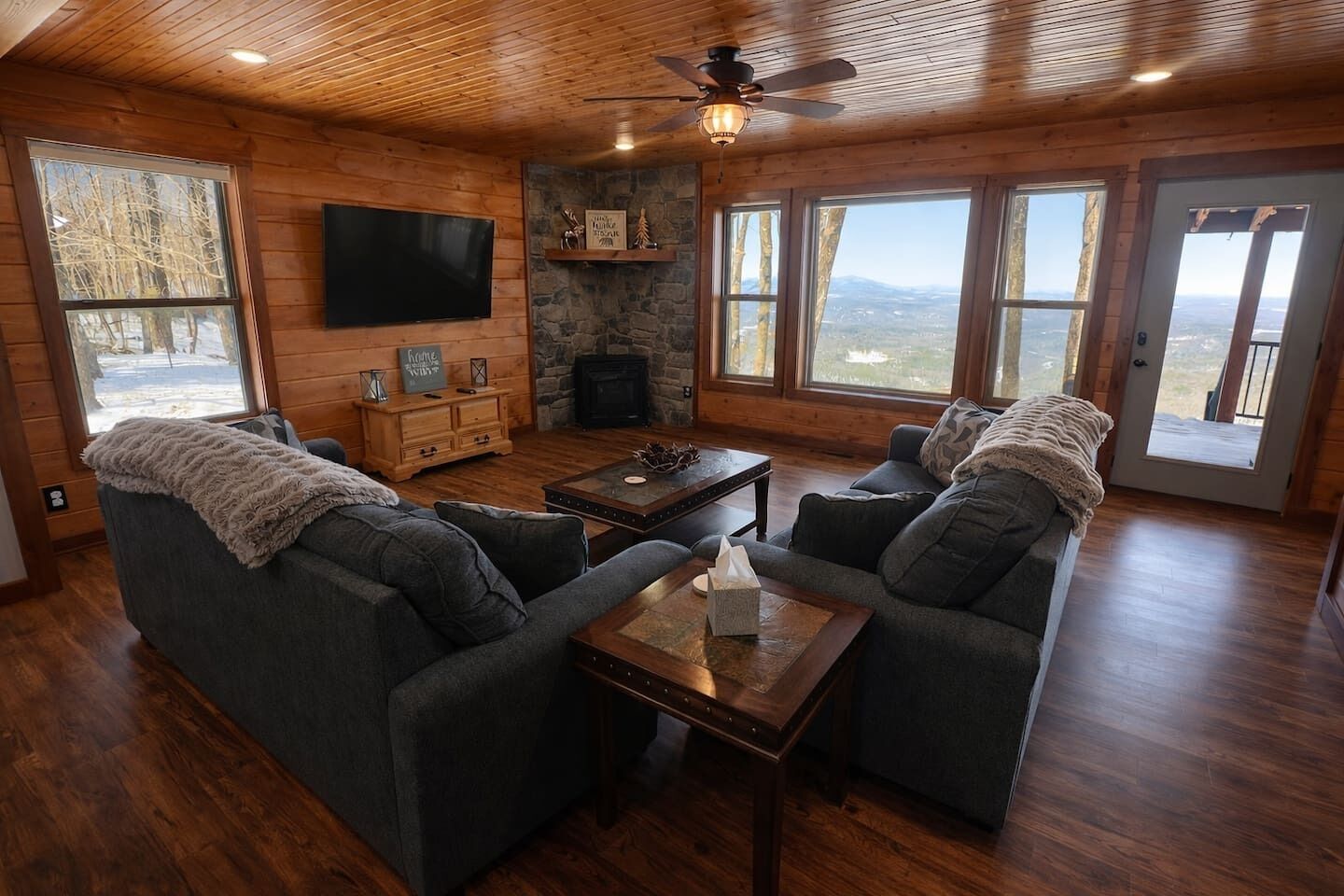 TV, fireplace, books