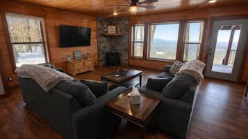 TV, fireplace, books