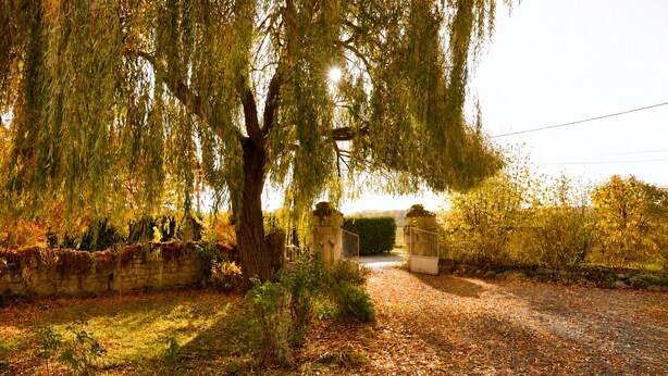 Un sentiero conduce a un cancello chiuso da alberi e vegetazione.