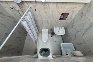 A bathroom with a toilet, bidet, and shower area.