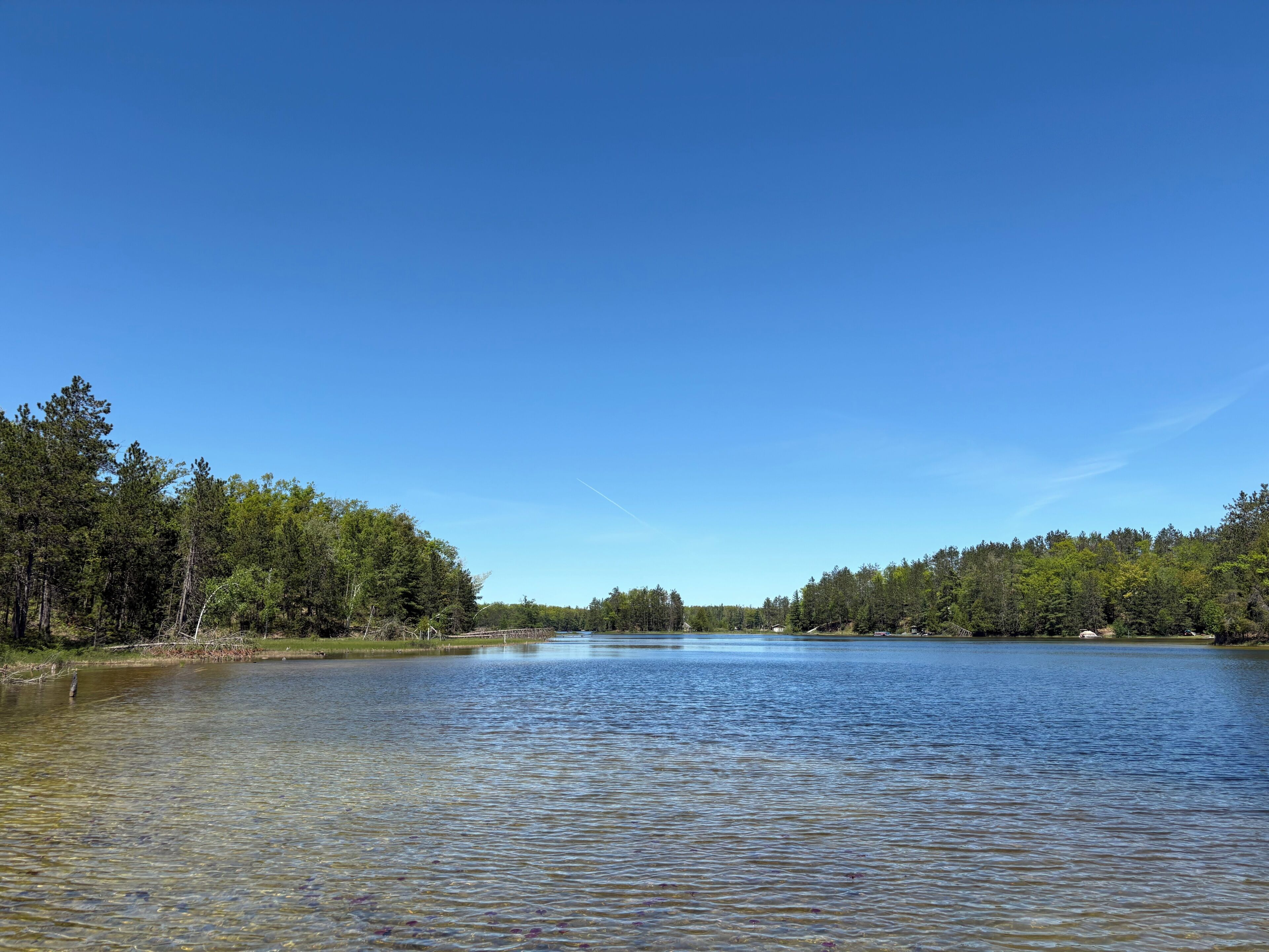 A clear lake surrounded by dense forest.