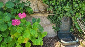 A garden with green foliage, a concrete wall, and a metal planter. - Charming town house, 10min walk to the beach (saint gildas de rhuys)