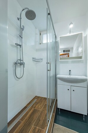 A modern bathroom with a glass shower enclosure, a white sink, and a mirror above it.