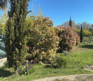 A garden with various trees and shrubs, a concrete pathway, and a metal fence in the background. - A lovely, air-conditioned apartment just outside Montpellier. Surrounded by a large garden! (JUVIGNAC)