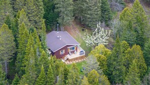 A house surrounded by dense forest, with a visible deck and a chimney.