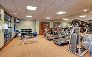 Fitness facility - Ski-In Ski-Out Retreat in Breckenridge with all the Amenities for Every Season (Breckenridge)