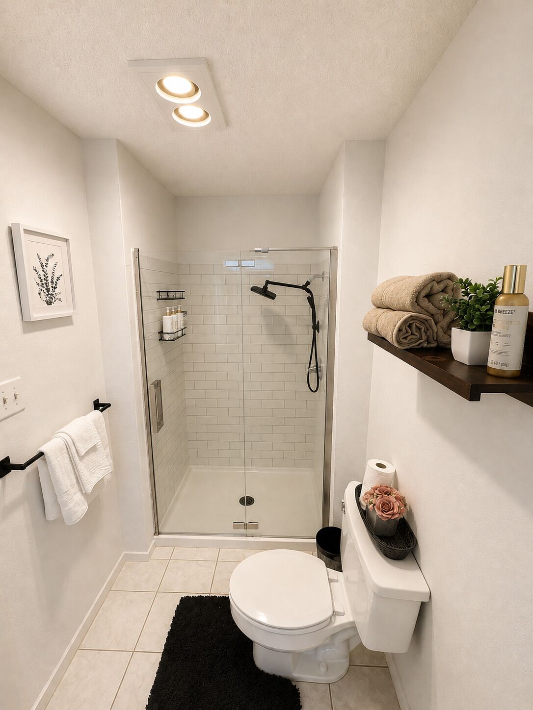 Hair dryer, towels, soap, toilet paper