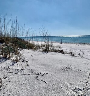 Ein sandiger Strand mit vereinzelter Vegetation und blauem, wolkenlosem Himmel.