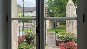 Ein Fenster mit Blick auf einen Garten, eine Steinstruktur und eine Straße.