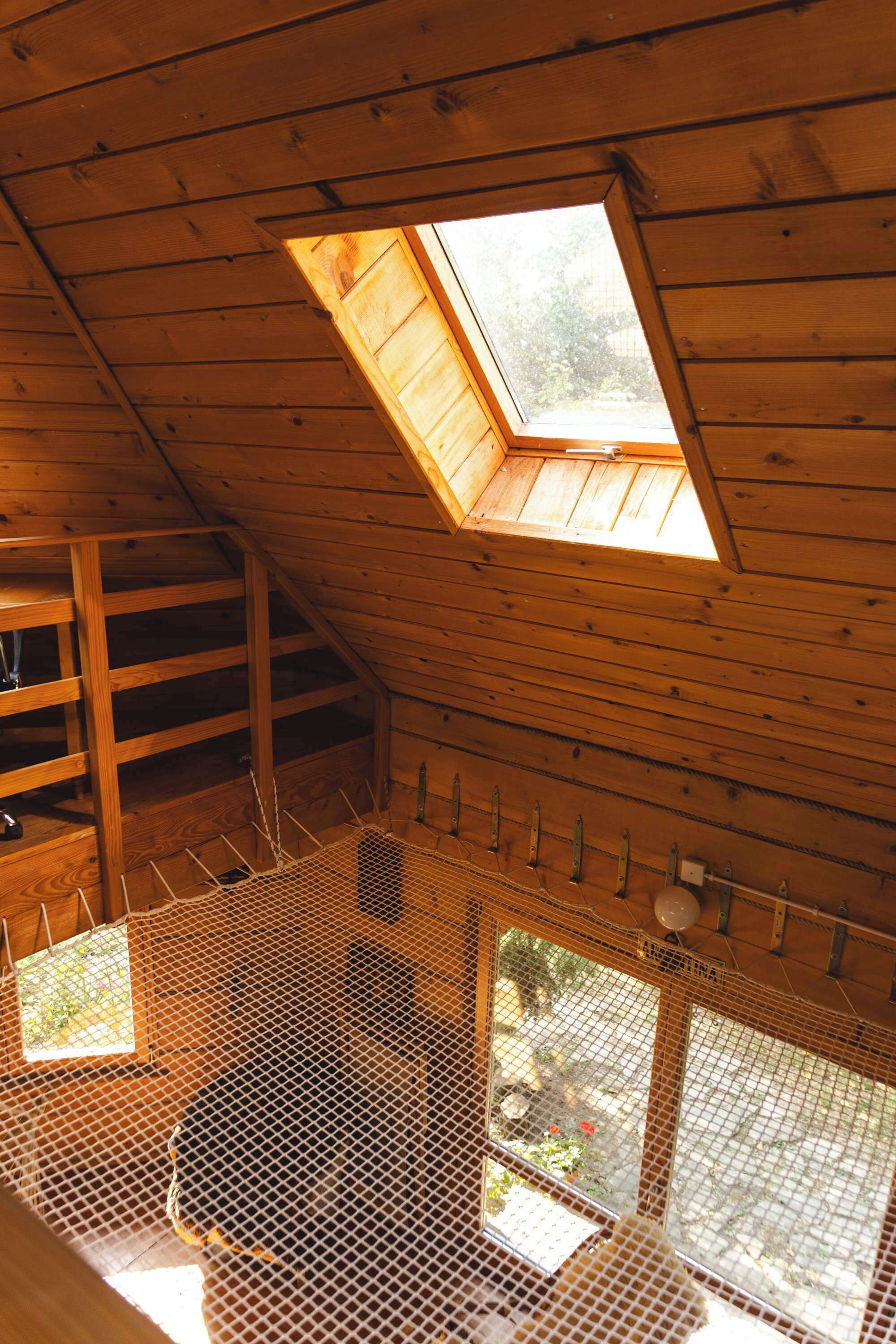 A wooden interior with a skylight, a mesh enclosure, and a staircase.