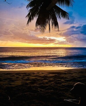 A beach scene with a palm tree, ocean, and sunset. - La Casita - Glamping bungalow with AC in Rincón (Rincón)
