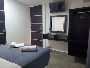 Une chambre à coucher avec un lit, une télévision, une armoire et un miroir.