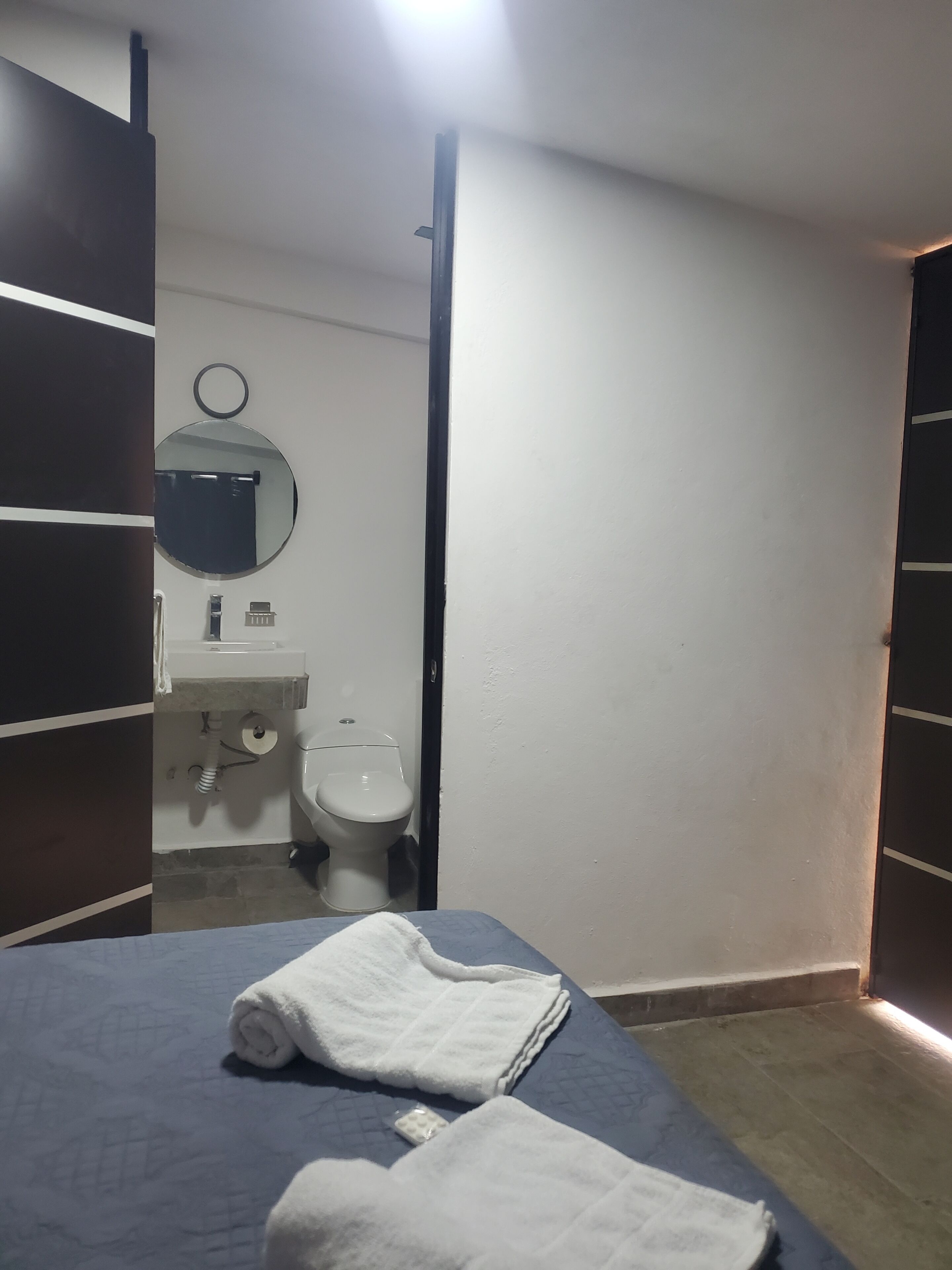 A room with a bed, a toilet, a sink, and a mirror.