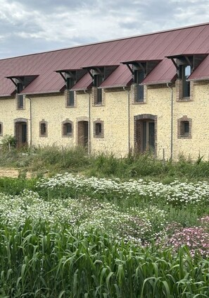 A building with a brick facade and a red roof, surrounded by a field of white and pink flowers. - GRAND JARDIN - La ferme hôtelière (Lamblore)