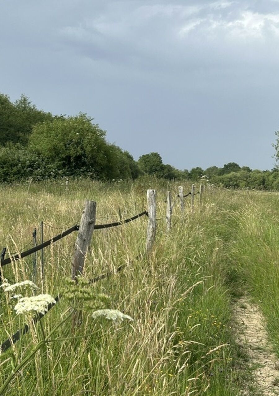 A grassy field with a dirt path and wooden fence posts.