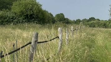 A grassy field with a dirt path and wooden fence posts.