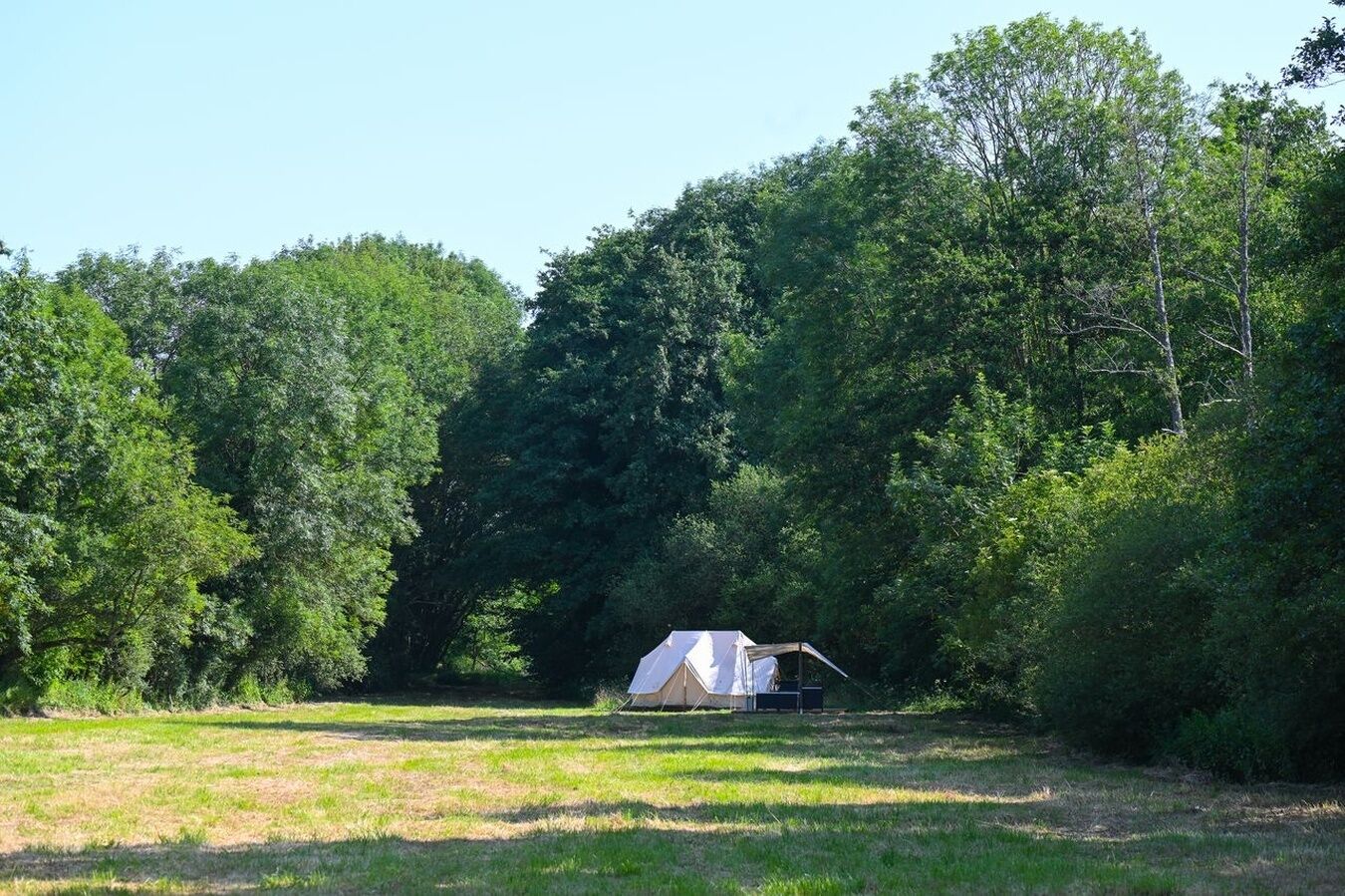 A tent in a forested area with a grassy field.