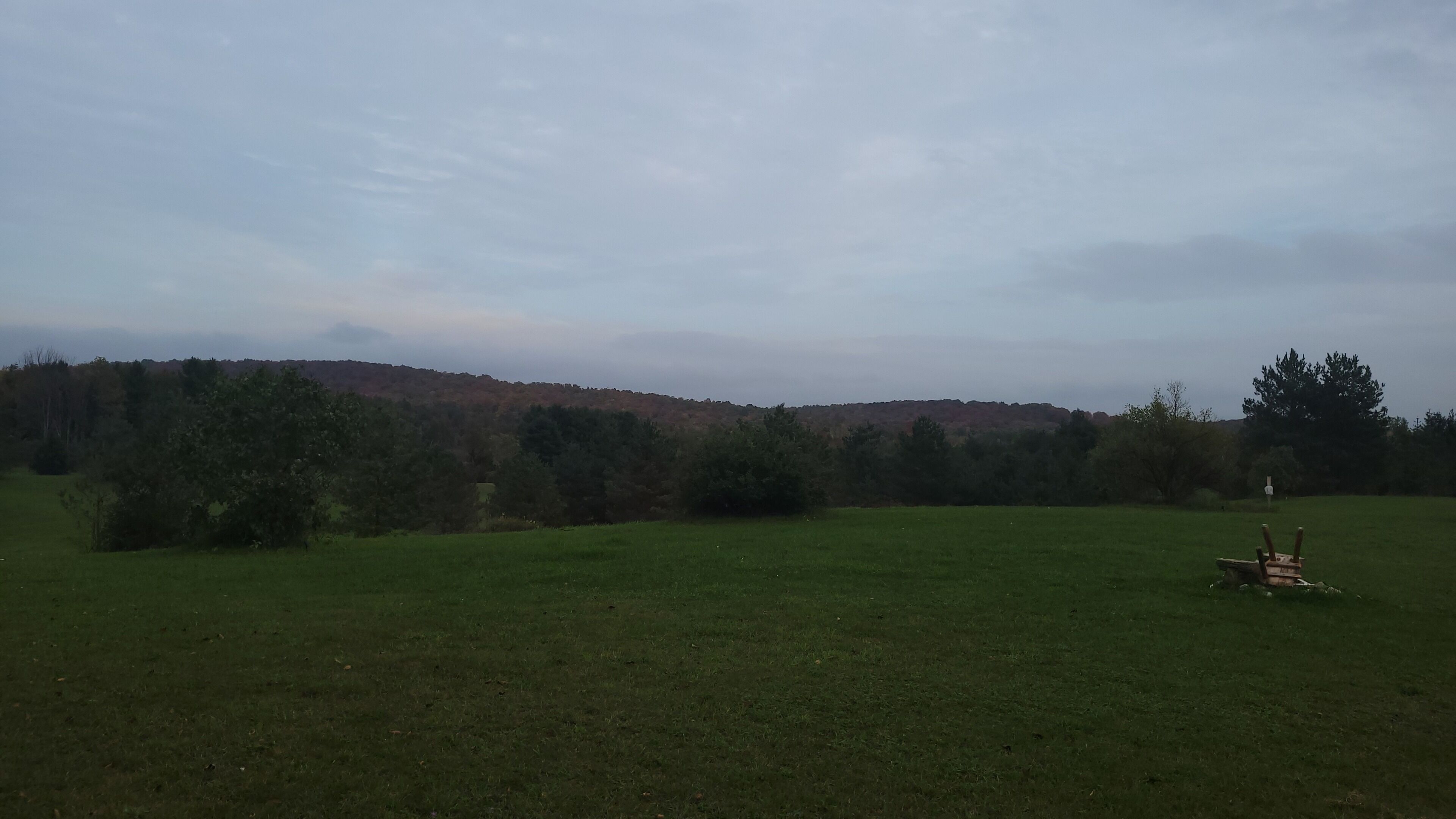 A grassy field with trees and a hill in the background.