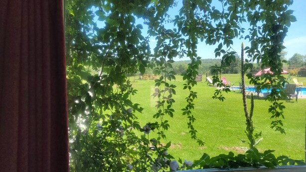Una ventana con vista a un área verde, una piscina y mobiliario exterior.