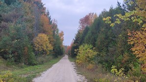 Camino de grava bordeado por follaje denso y árboles de colores otoñales.