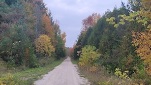 A gravel road flanked by dense foliage and trees with autumn colors. - key motel (Chatsworth)
