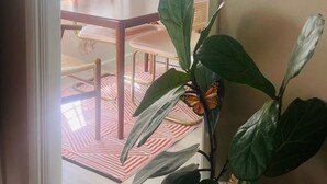 Un espace repas comprenant une table, des chaises, un luminaire suspendu et une plante en pot.