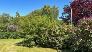 A well-maintained garden with various shrubs and trees, a clear sky, and a grassy area. - 2 bedroom lovely home in Thyholm (Thyholm)
