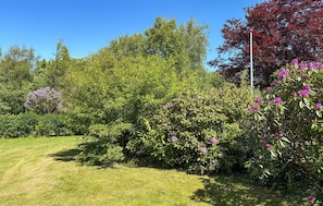 Ein gepflegter Garten mit verschiedenen Sträuchern und Bäumen, einem klaren Himmel und einer Rasenfläche.