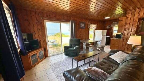A wooden interior with a leather sofa, a television, a table, and a chair. - 9 cottages on the beach of Lake Huron! (Oscoda)