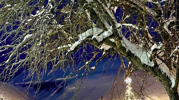 Een besneeuwde buitenruimte met een witte omheining, een boom met sneeuwrijke takken en een gebouw met ramen versierd met lichtjes en kransen.