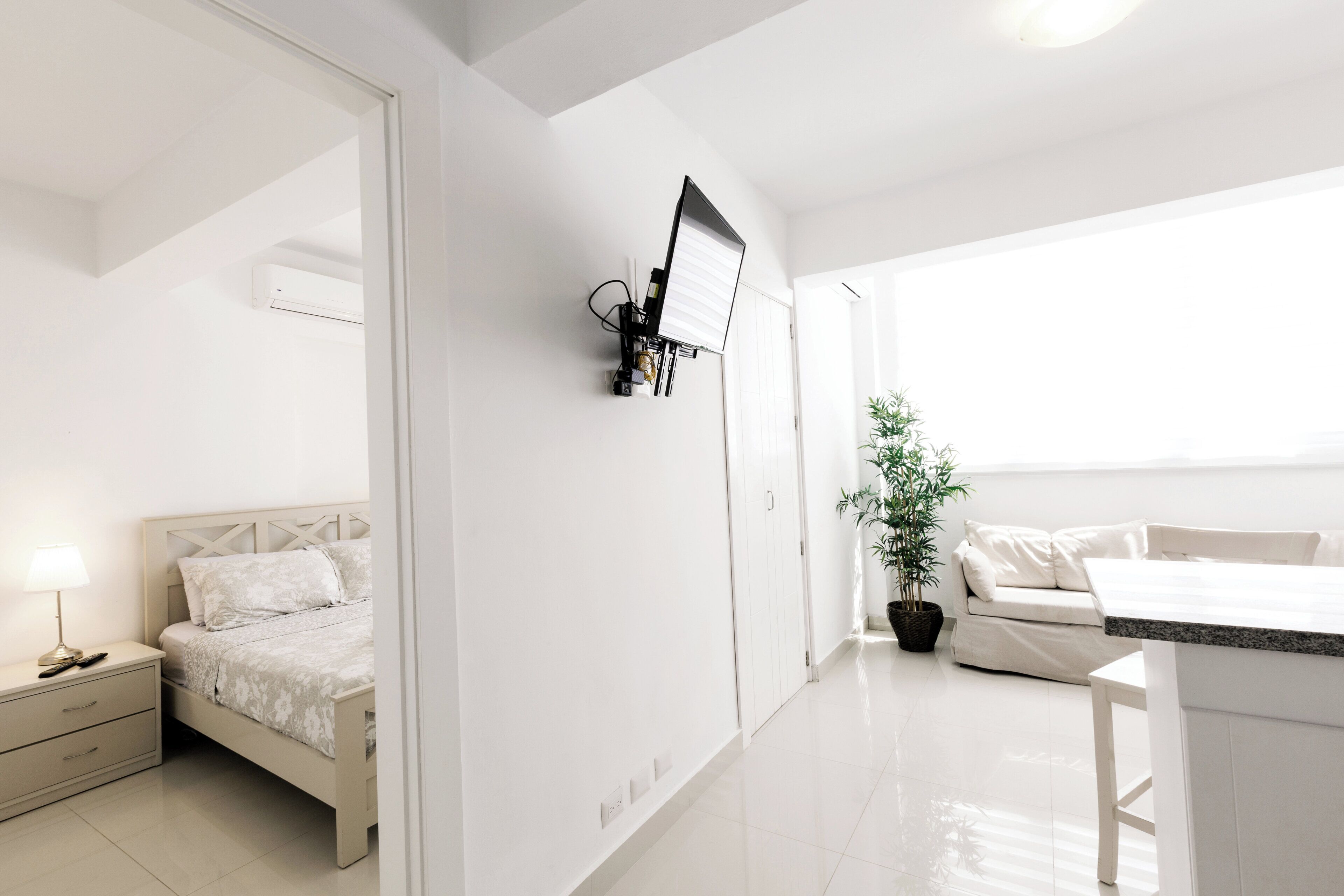 Una habitación de hotel moderna con cama, mesita de noche, lámpara y una planta en maceta.