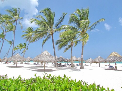 TROPICAL ESCAPE - SUITES and STUDIOS